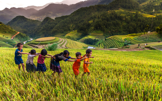 /individual_traveler/asia/Vietnam.html