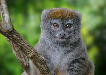 טיולים מאורגנים נוסי בה