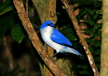 טיולים מאורגנים למדגסקר