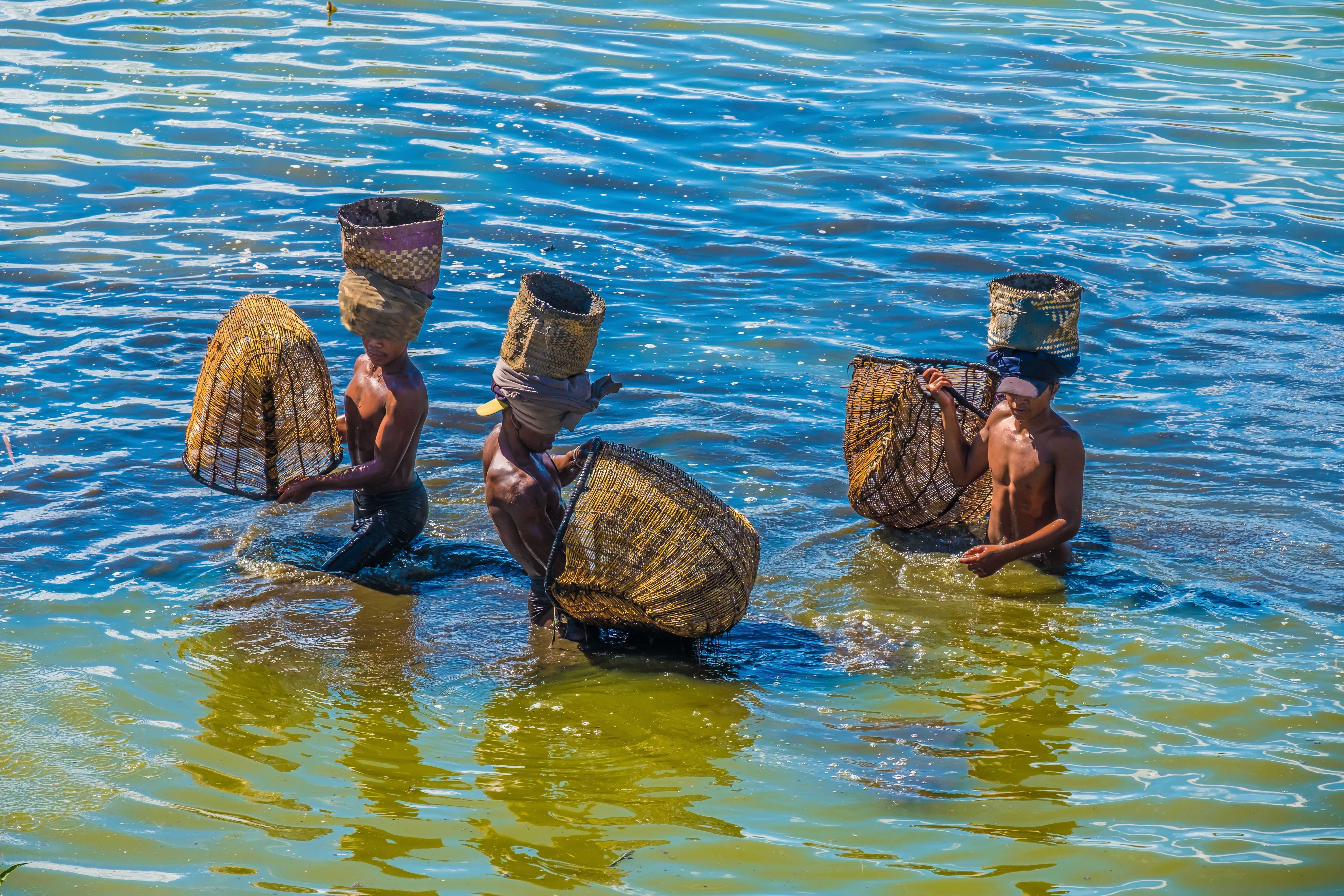 טיולים מאורגנים למדגסקר