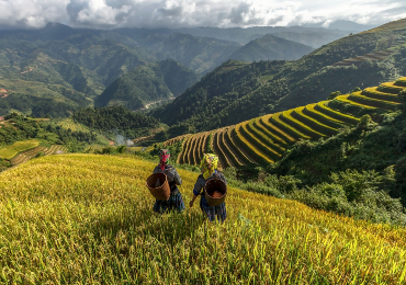 טיולים מאורגנים לוייטנאם