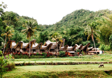 טיולים מאורגנים לאינדונזיה