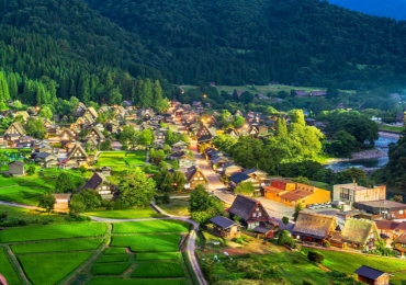 טיולים מאורגנים