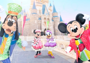 טיולי משפחות ליפן בקיץ