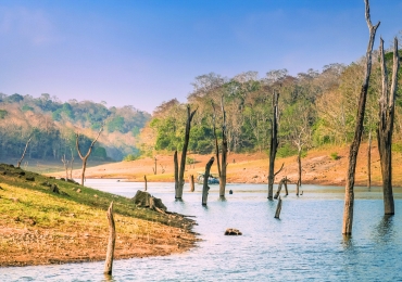 טיול מאורגן לדרום הודו