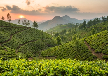 טיול מאורגן לדרום הודו - מסלול ארוך