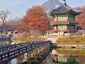 טיולים מאורגנים לדרום קוריאה ויפן
