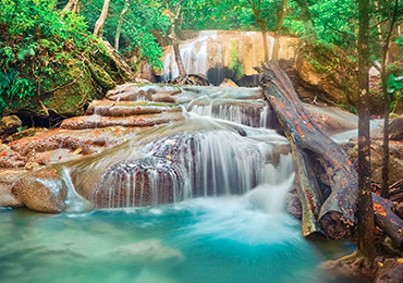 טיולים מאורגנים לתאילנד