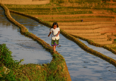 טיולים מאורגנים לוייטנאם וקמבודיה